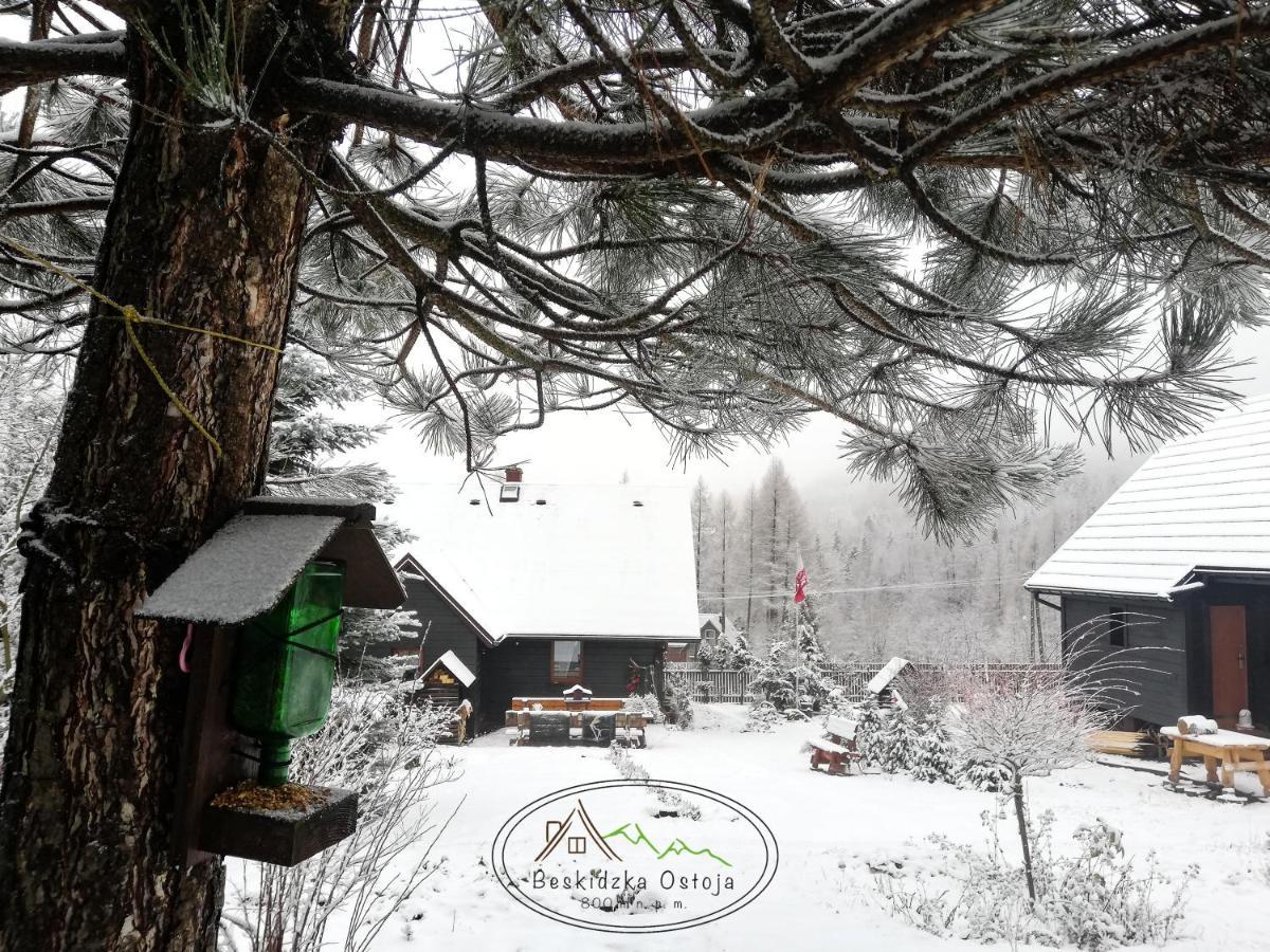 Beskidzka Ostoja Koszarawa Exterior foto