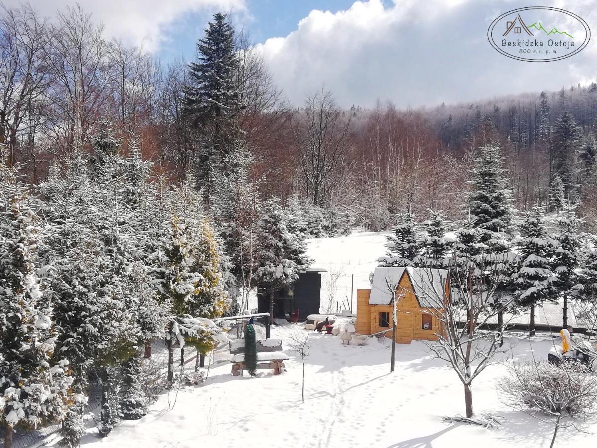 Beskidzka Ostoja Koszarawa Exterior foto