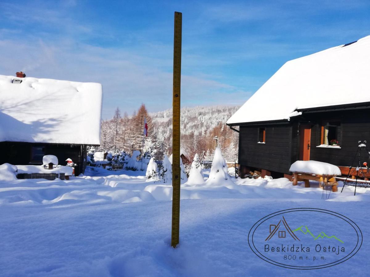 Beskidzka Ostoja Koszarawa Exterior foto