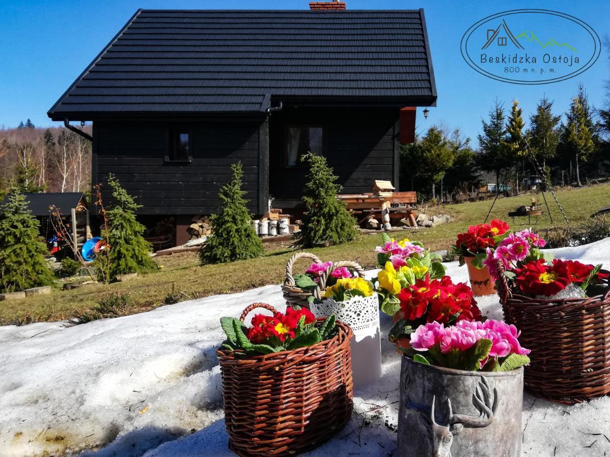 Beskidzka Ostoja Koszarawa Exterior foto